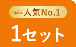 人気No.1 1セット