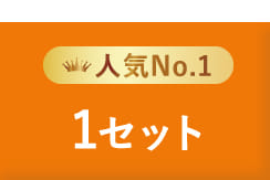 人気No.1 1セット